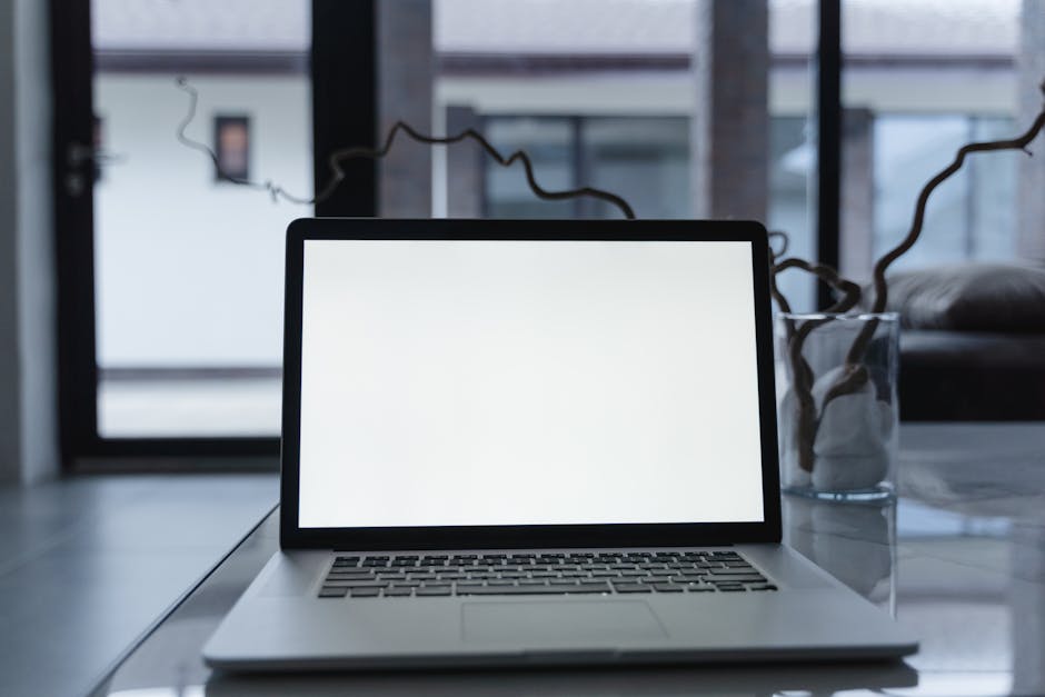 Laptop showing accounting software dashboard
